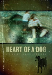 Heart of a Dog